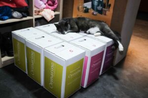 Wein aus Südfrankreich